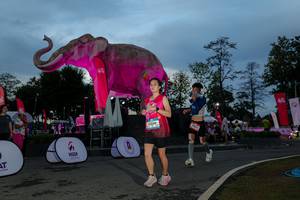 BIB: 
                            <button type="button" onclick="openModal(26529639)" class="btn btn-primary btn-sm float-right btn-popup" data-toggle="modal" data-target=".modal-high-quality">
                        <i class="fas fa-shopping-cart"></i> Add to Cart
                    </button>
                                            <button type="button" onclick="isThisMe(26529639, true)" class="btn btn-success btn-sm float-right btn-popup btn-isme hidden" data-toggle="tooltip" data-placement="bottom" title="นี่คือรูปของคุณใช่ไหม คลิกที่นี่เพื่อเอาเข้าอัลบั้ม">
                        <i class="fas fa-plus"></i> Add to album
                    </button>
                    <button type="button" onclick="isThisMe(26529639, false)" class="btn btn-warning btn-sm float-right btn-popup btn-isnotme hidden">
                        <i class="fas fa-ban"></i> Remove from album
                    </button>